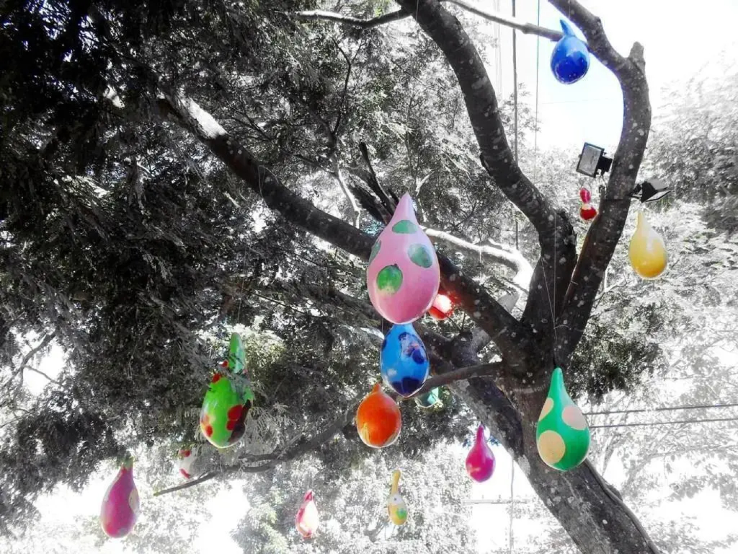 Tapindare Hotel e Restaurante