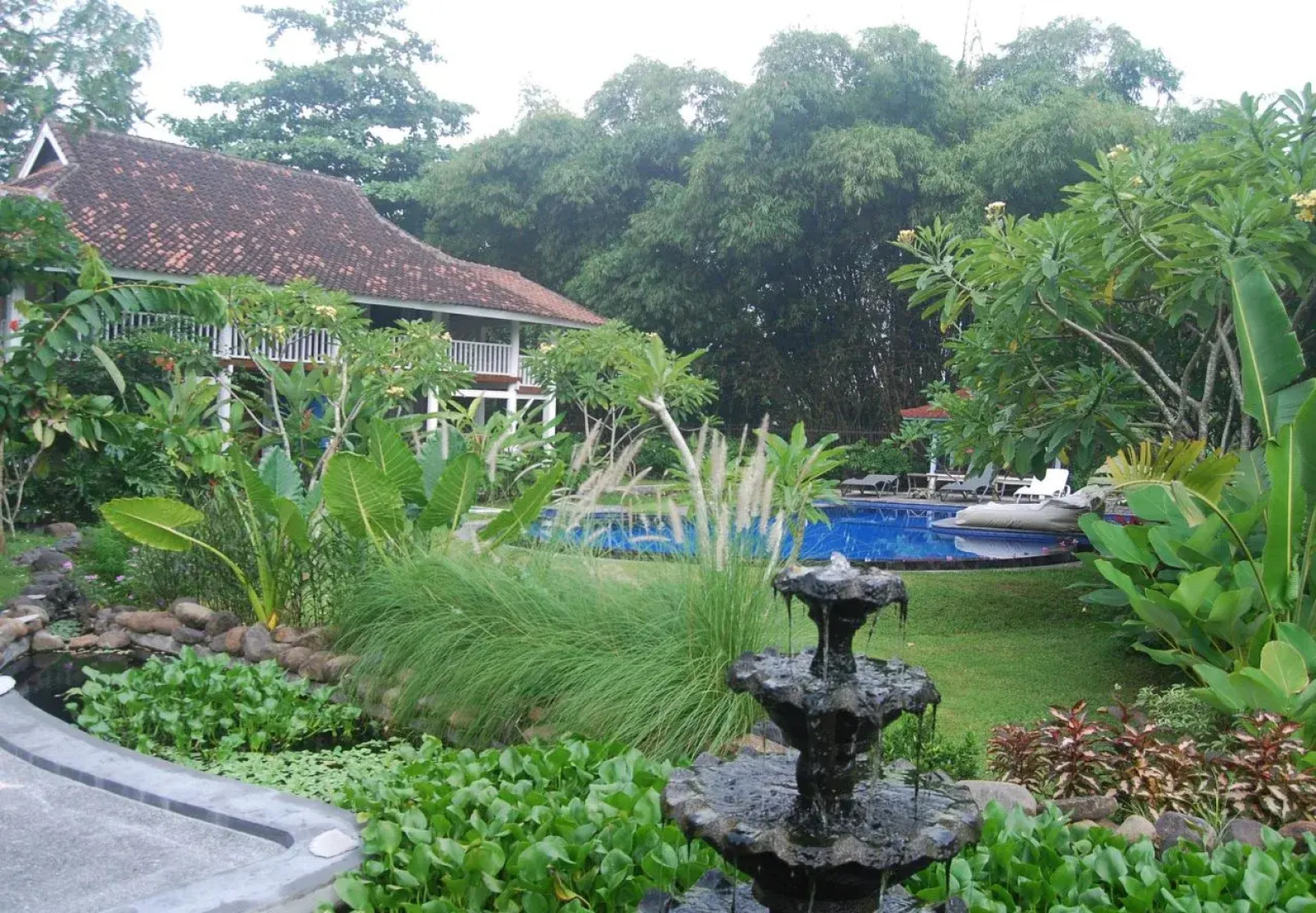 Pondok Anggrek Putih