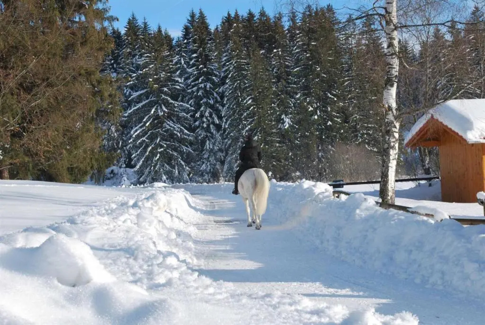 Ruheoase am Forggensee