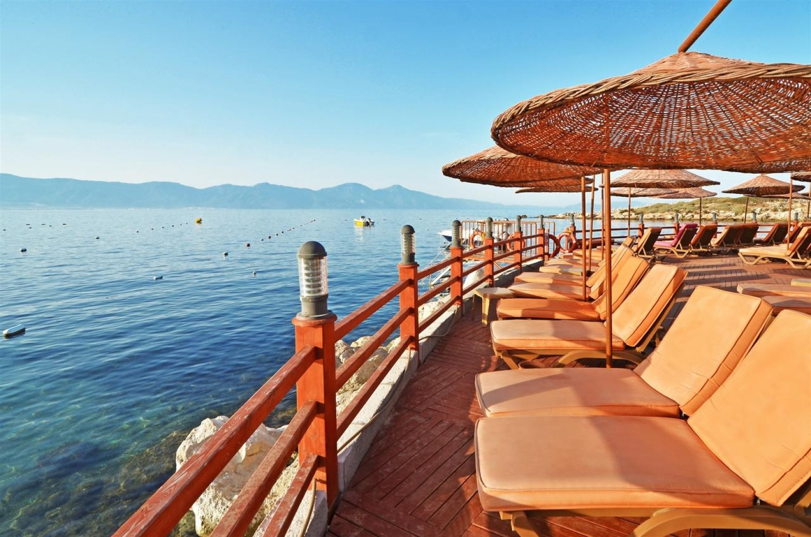 The Grand Blue Sky International