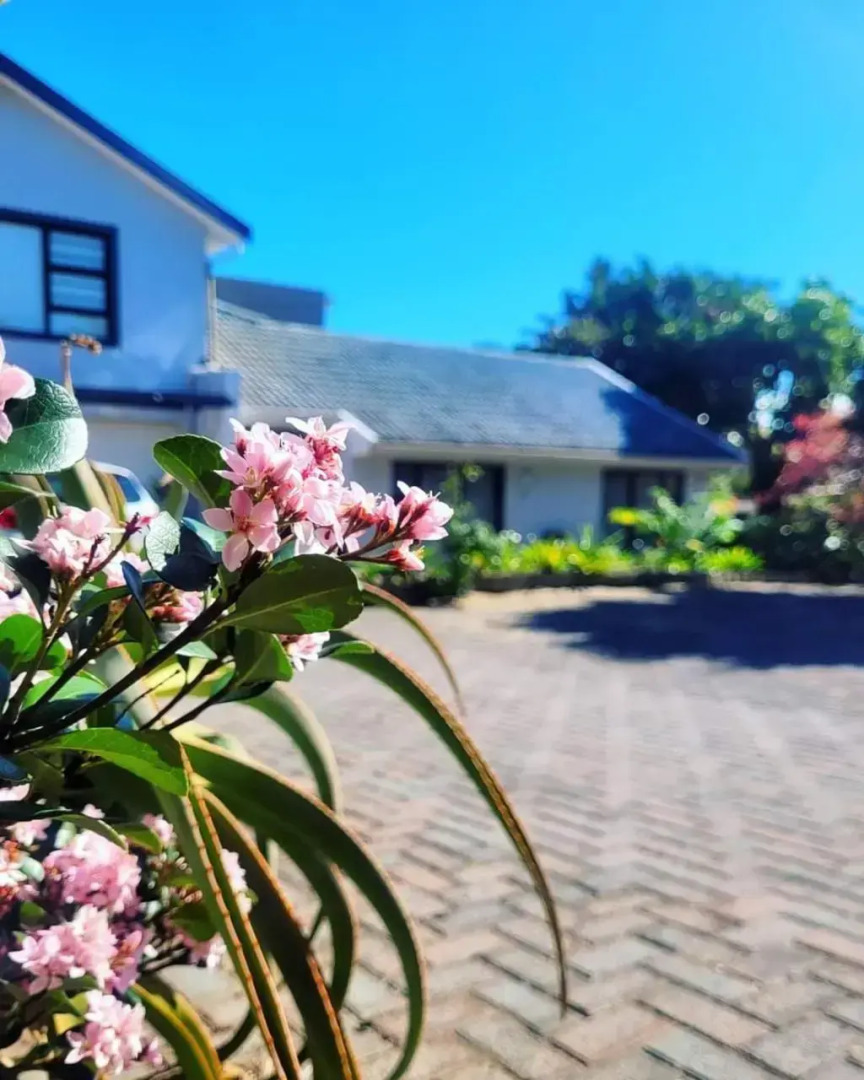 Tropical Seaside Suite 8