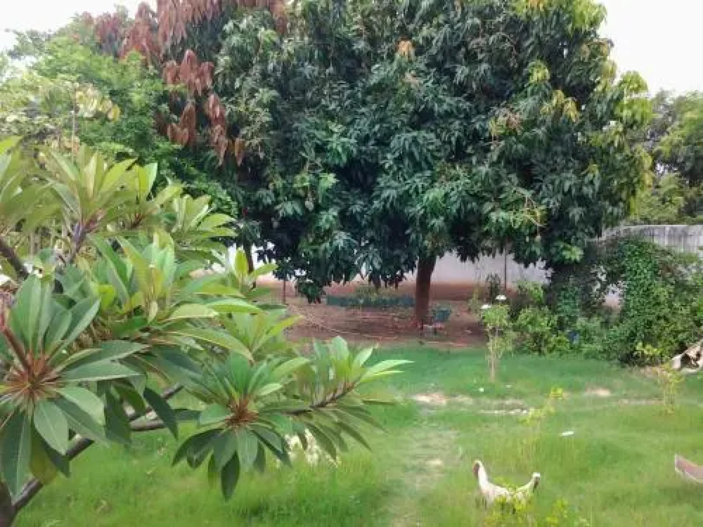 The Plantation Gambia