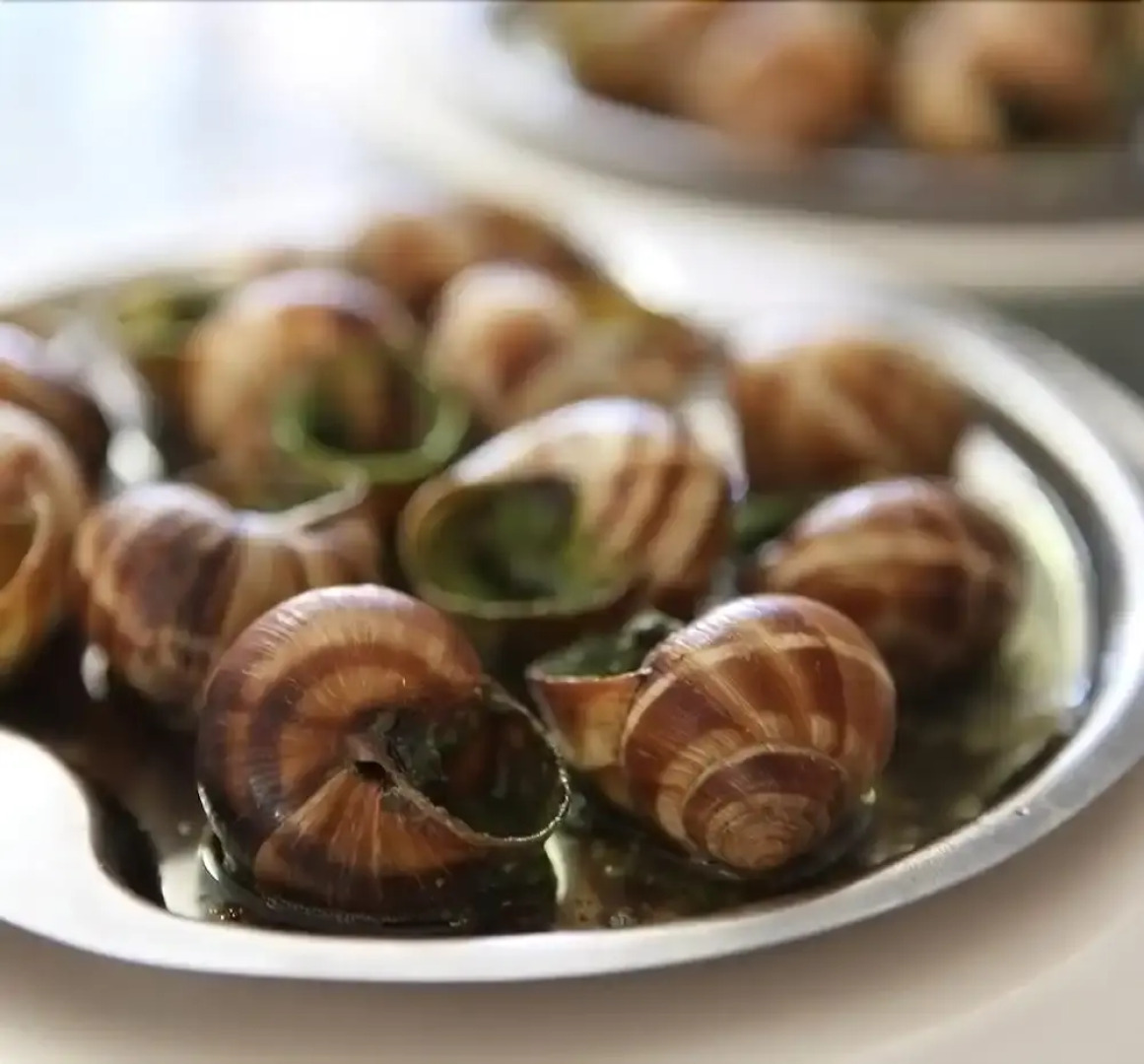 La Lucarne Aux Chouettes