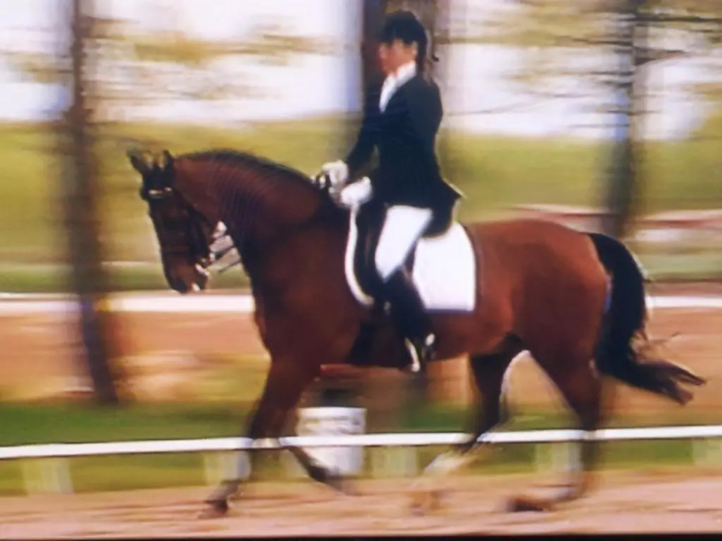 Agriturismo La Dondina