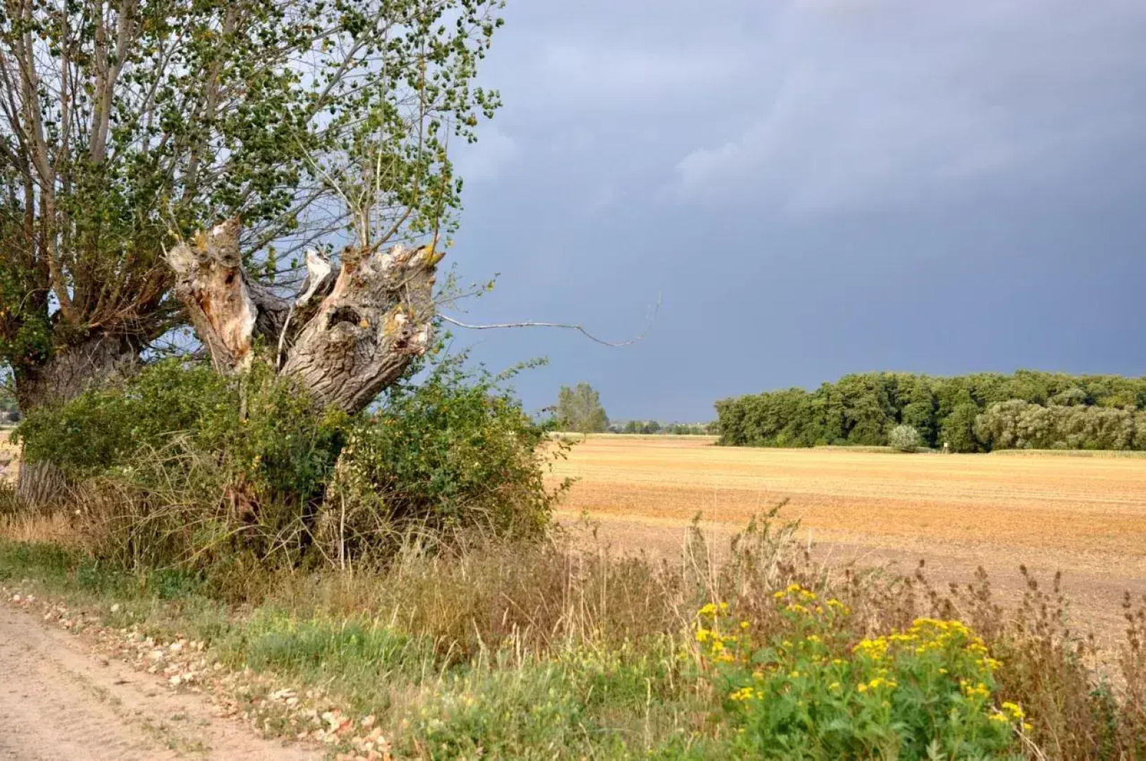 Ferienwohnung Uckermark Battin