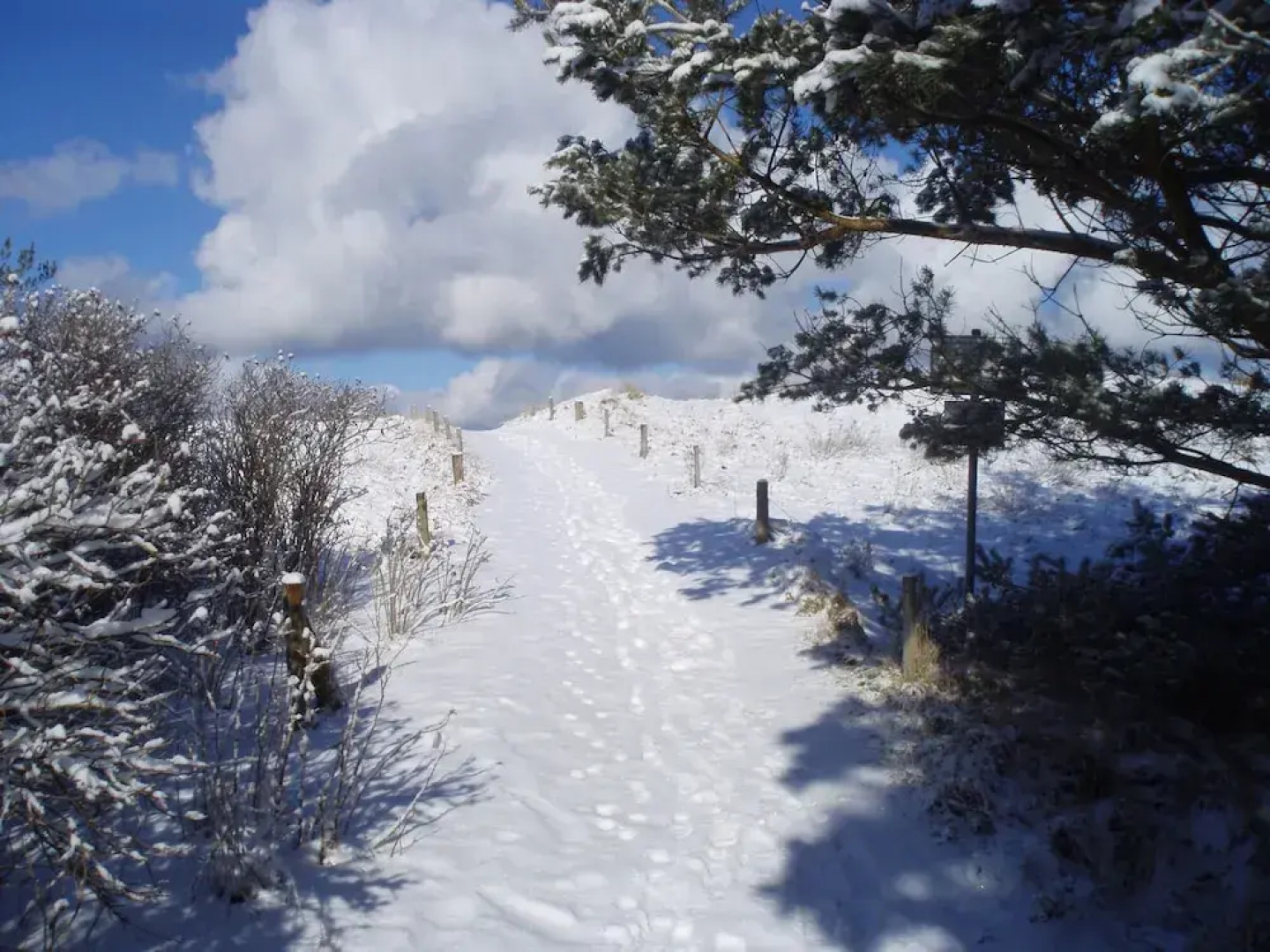Dünenmeer Ferienhäuser