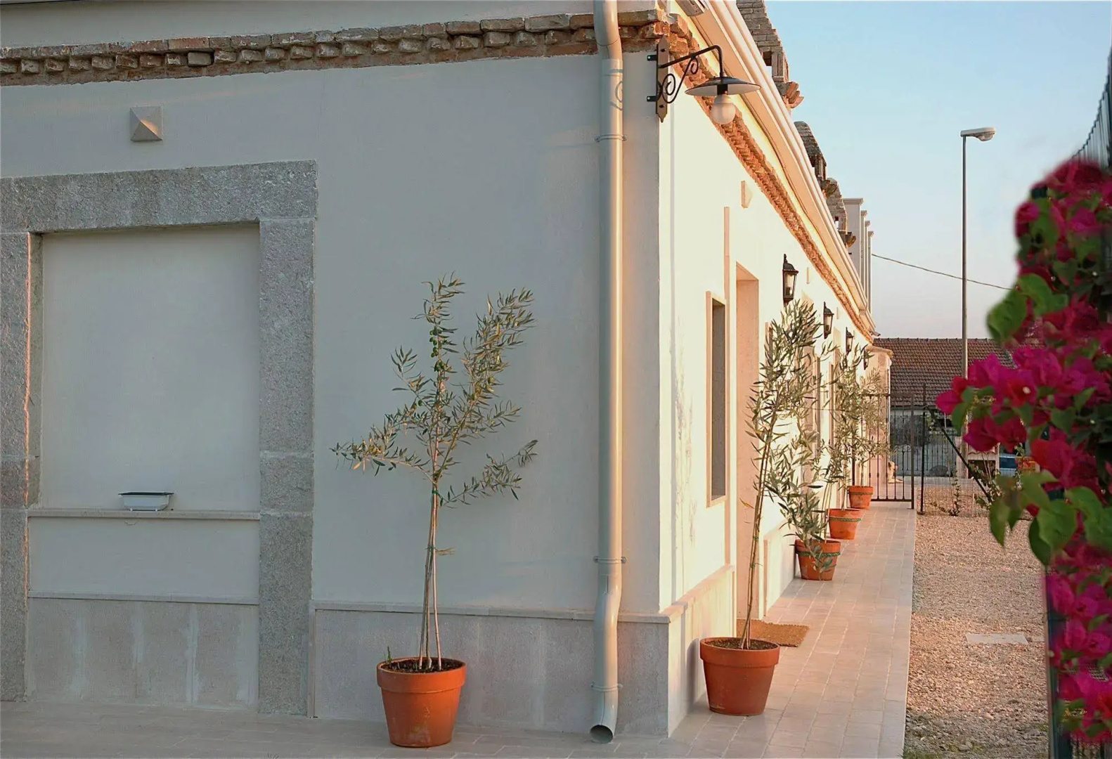 The Olive Inn