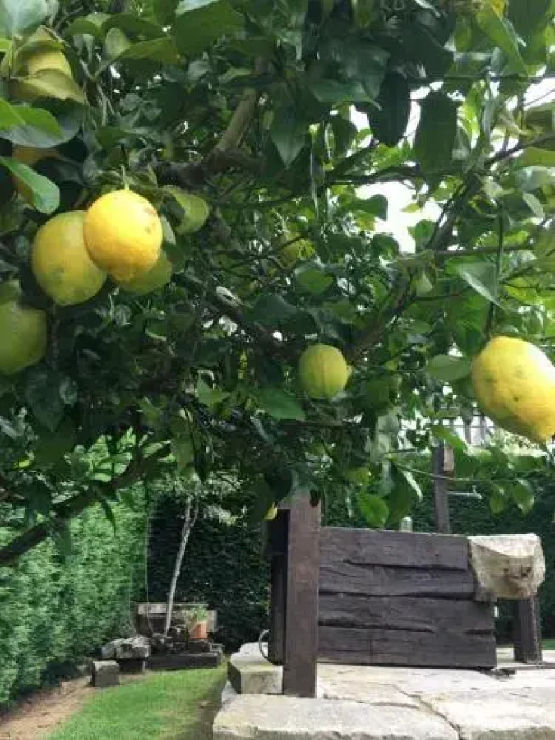 Apartamentos Ciudad de Petra