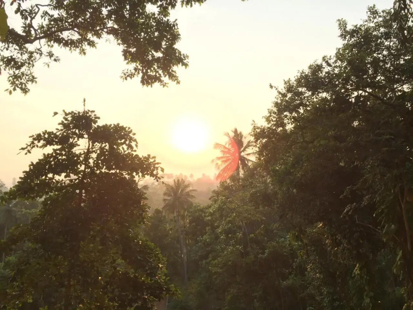 Wija House - Unawatuna