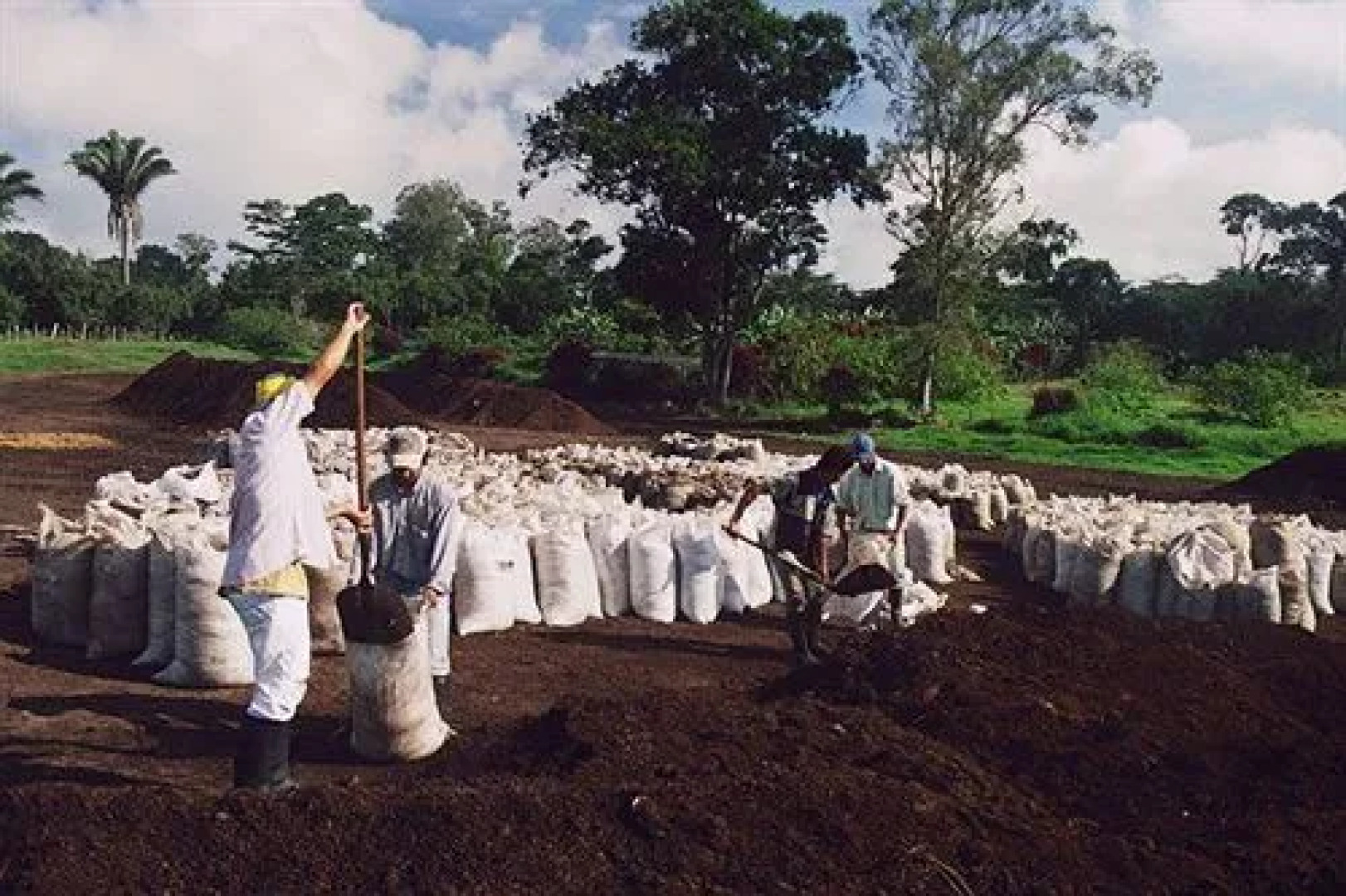 Hacienda El Roble Hotel
