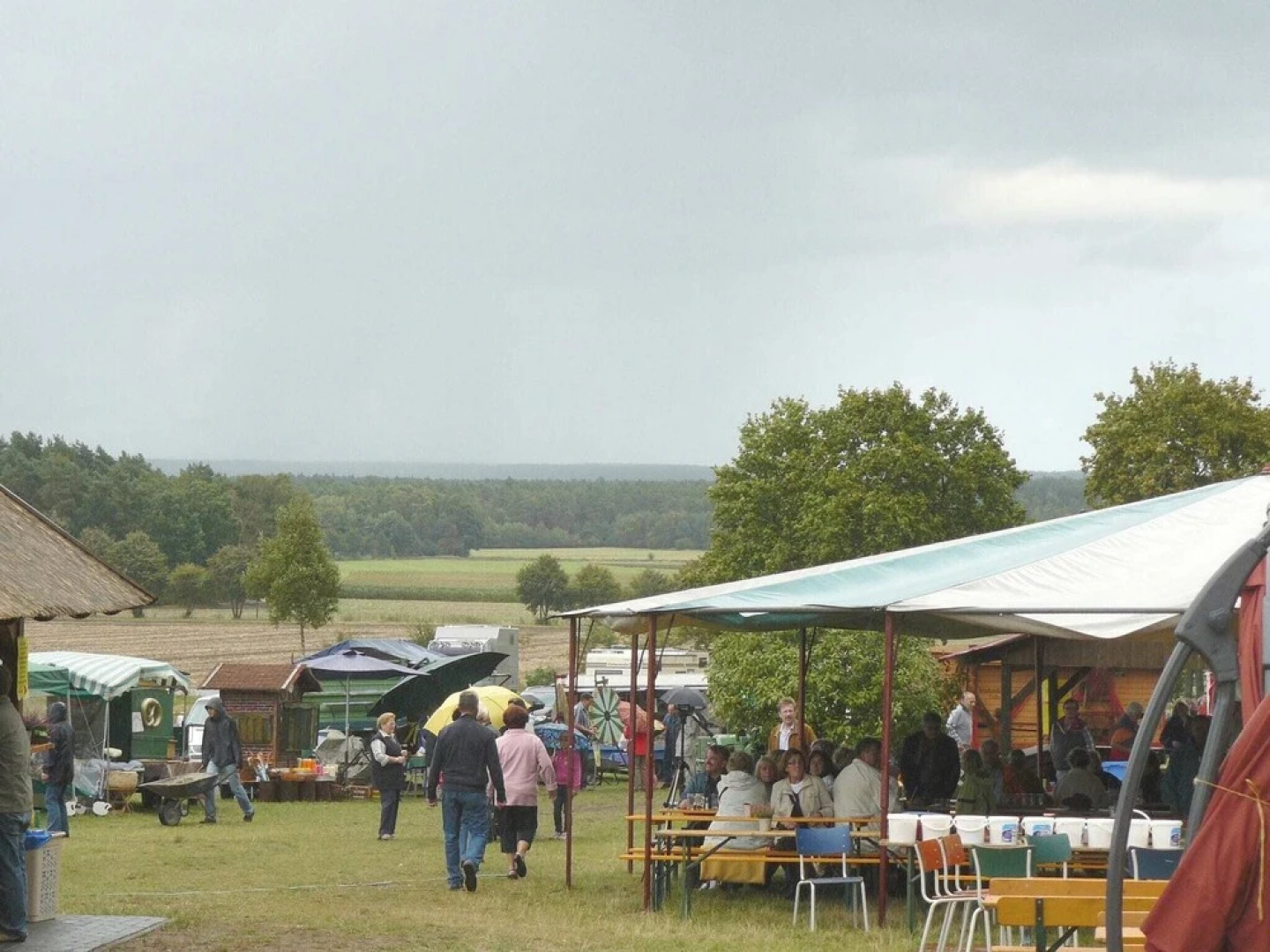 Cozy Holiday Home in Wietzendorf near Forest