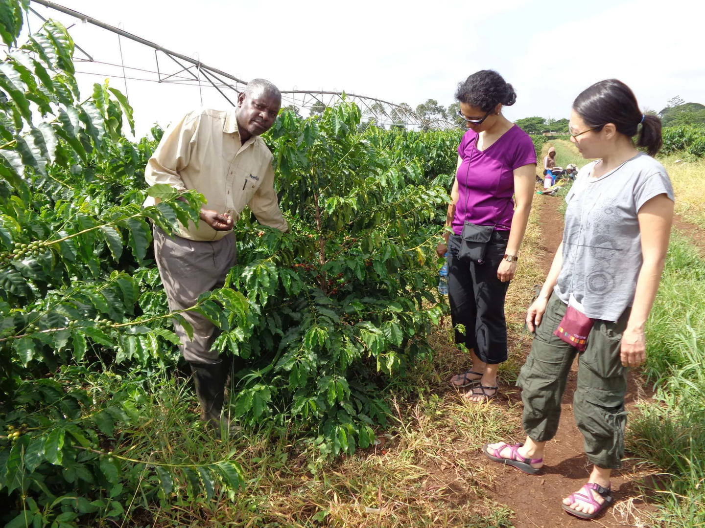 Weru Weru River Lodge