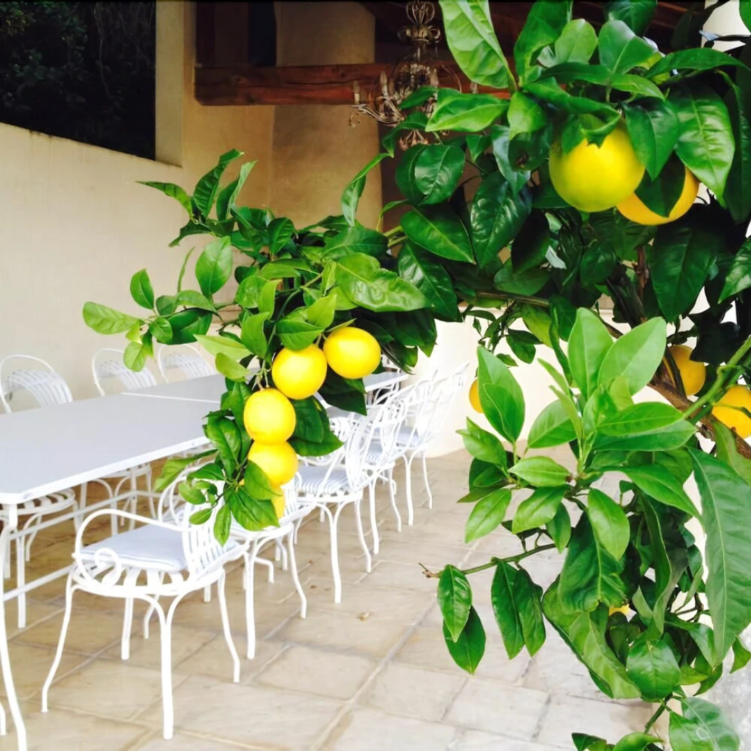 La Bastide dAndrea