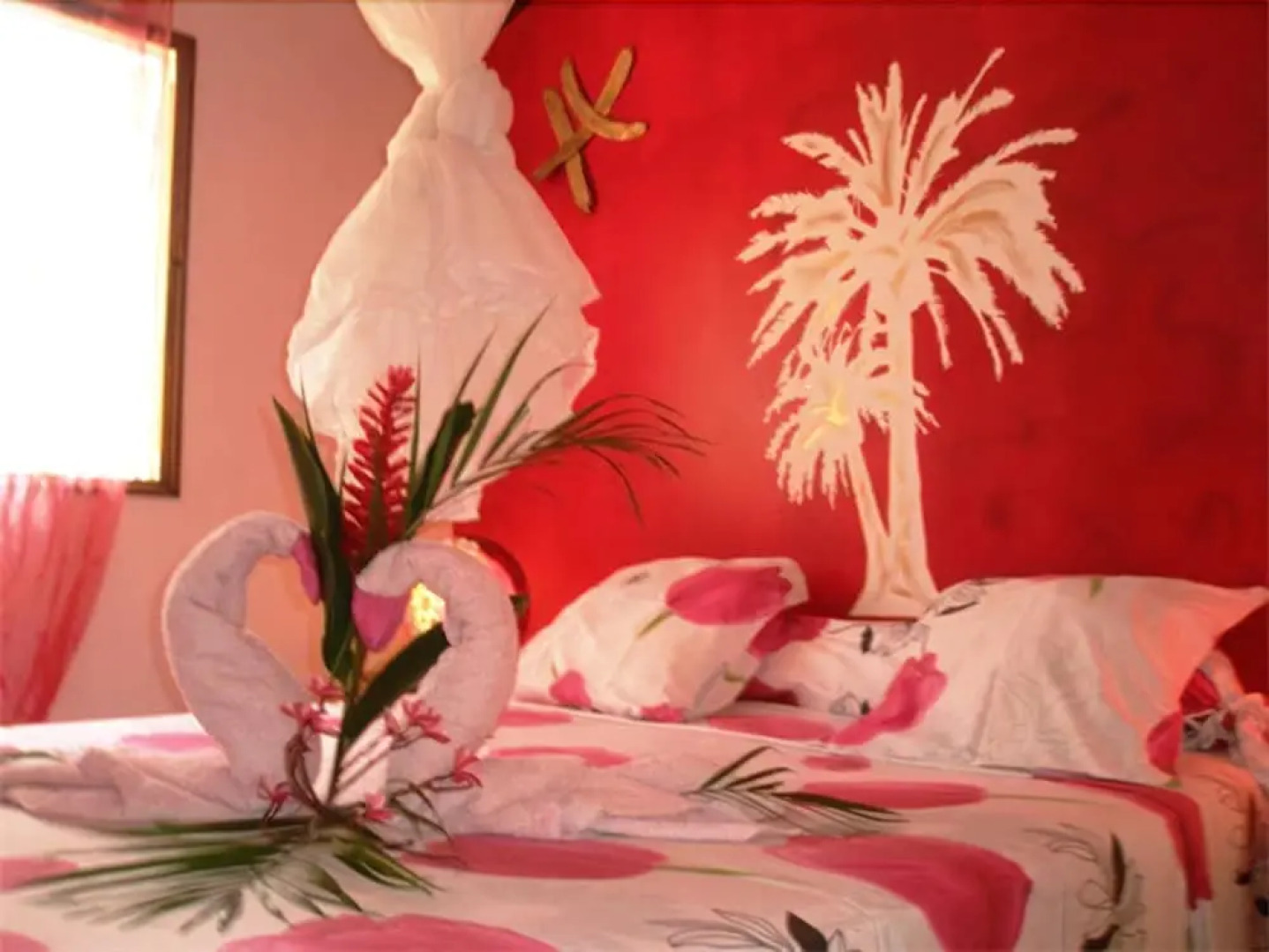 Oasis de Grande Anse