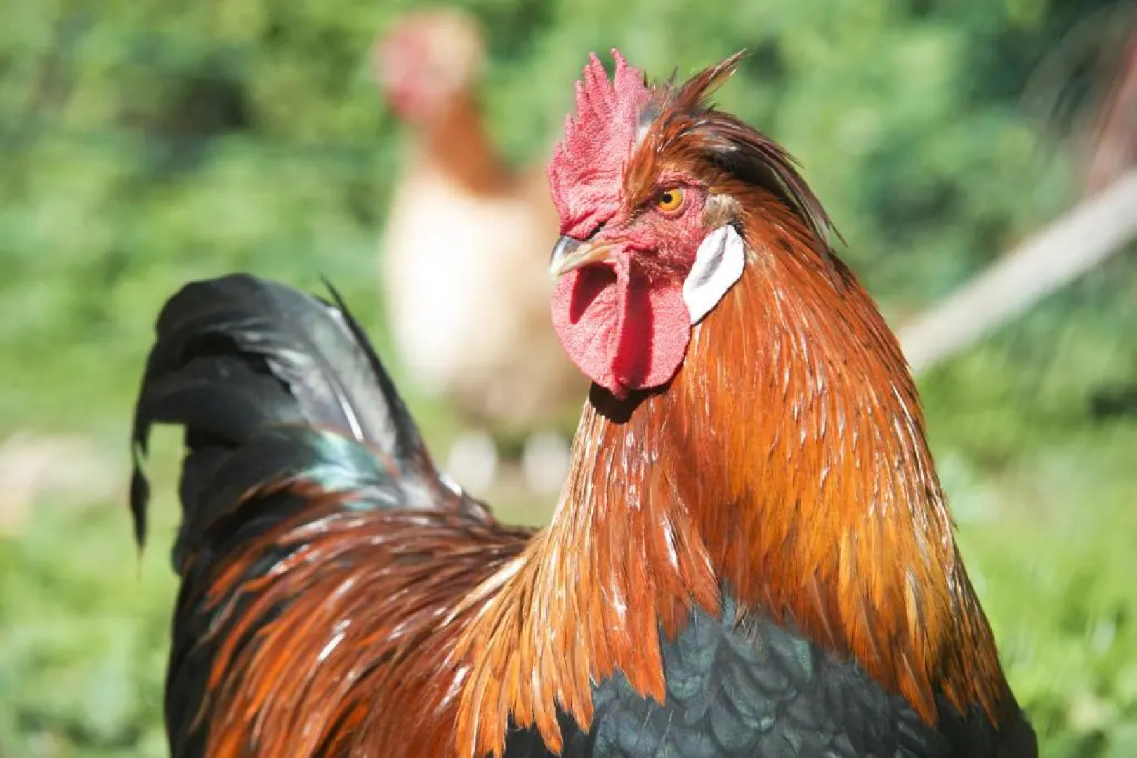 Hotel Landsitz Pichlschloss