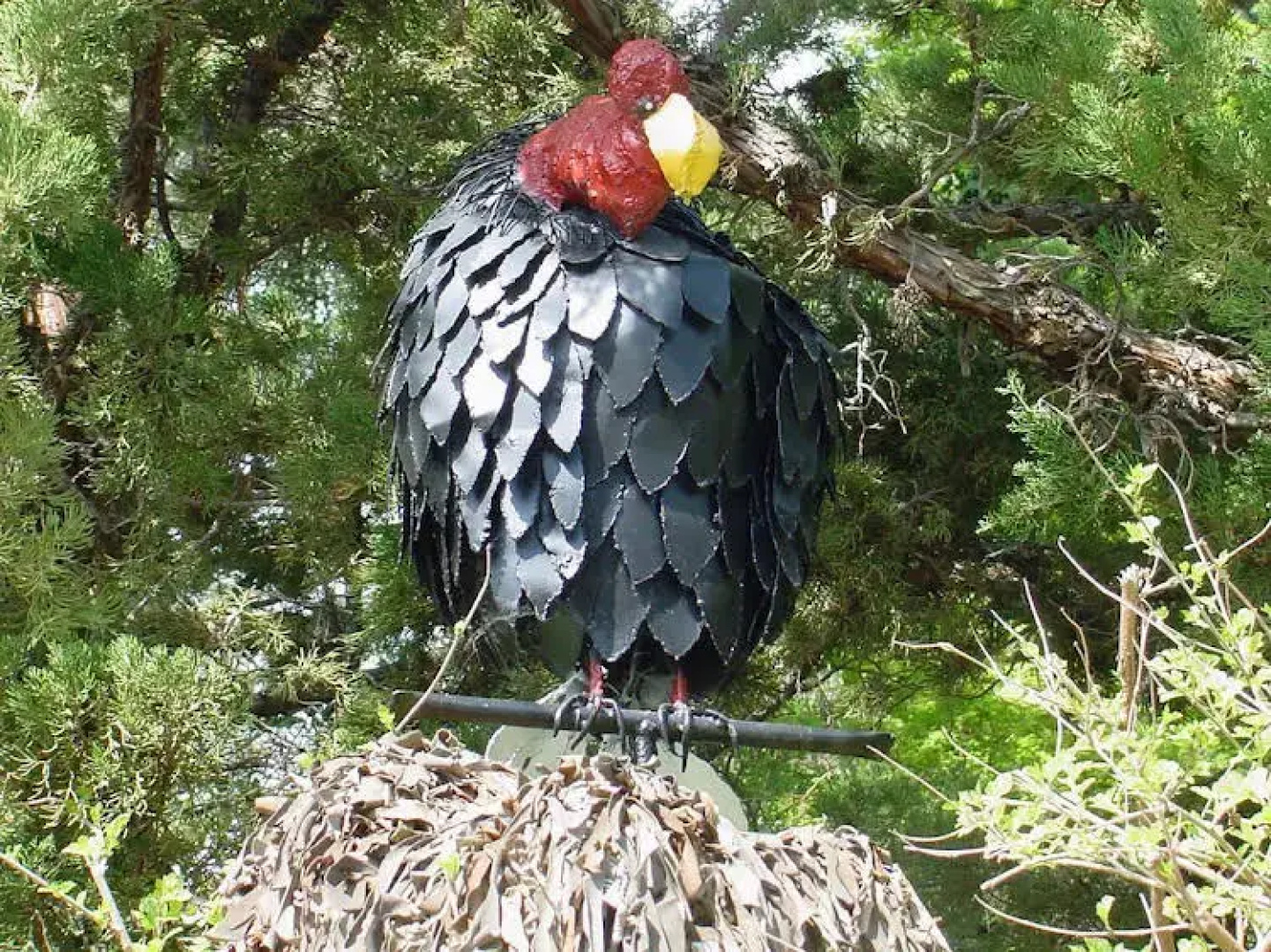 Vultures View Bed and Breakfast