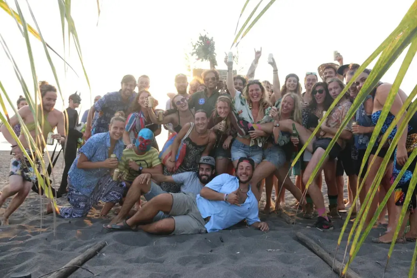 The Driftwood Surfer