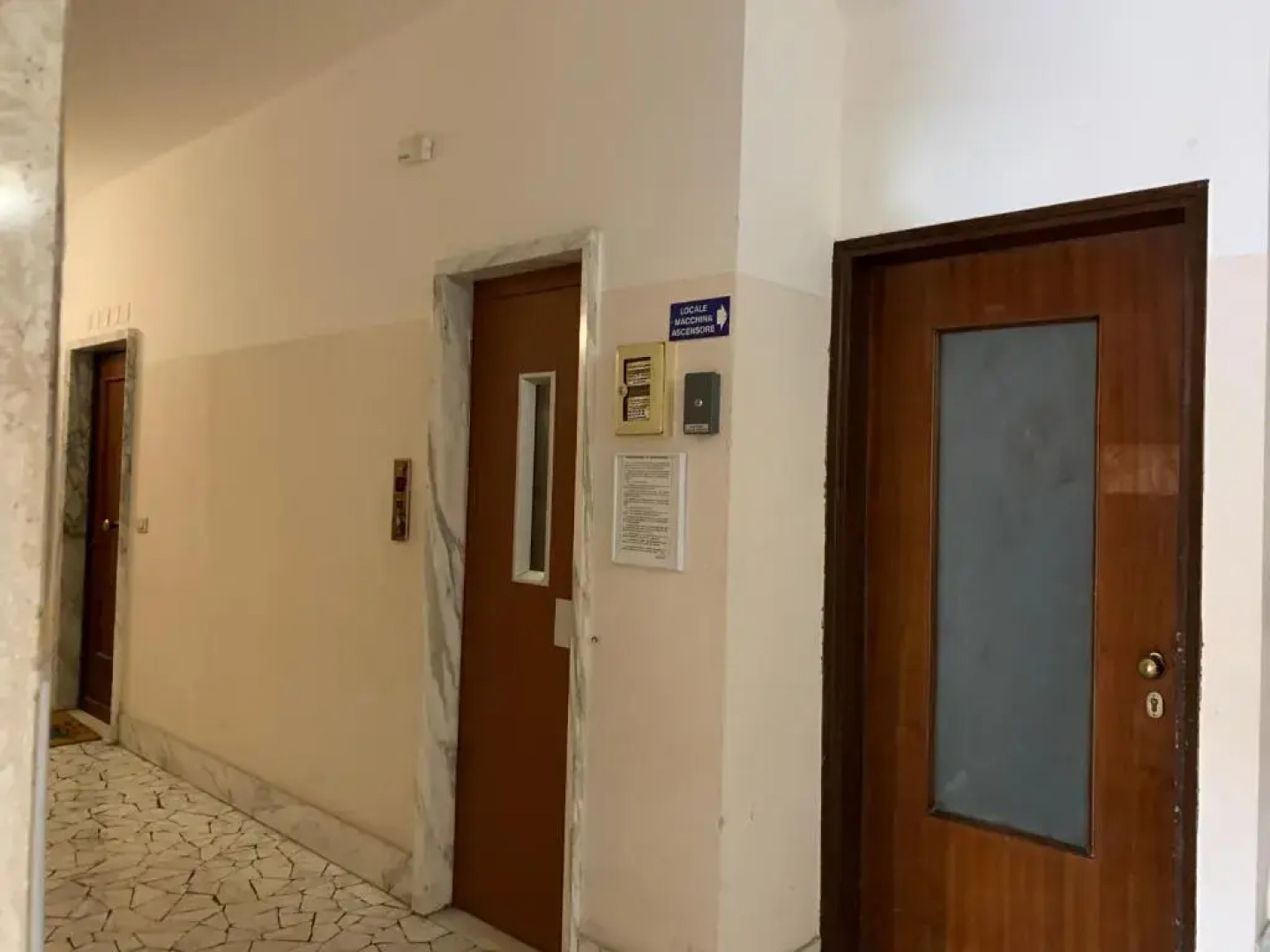 House Sunflower by Holiday World