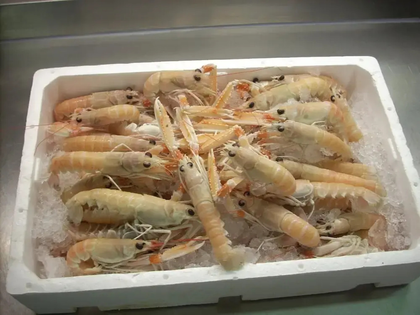 Отель Ai Campi Di Marcello