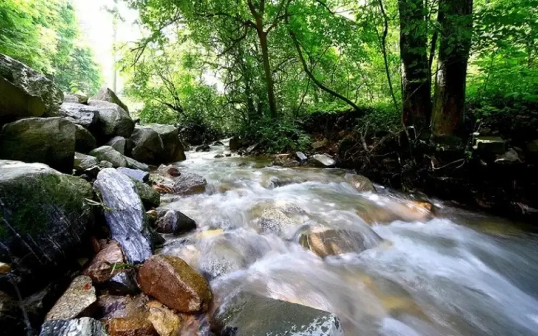 Sancheong Dolkkotdam Pension