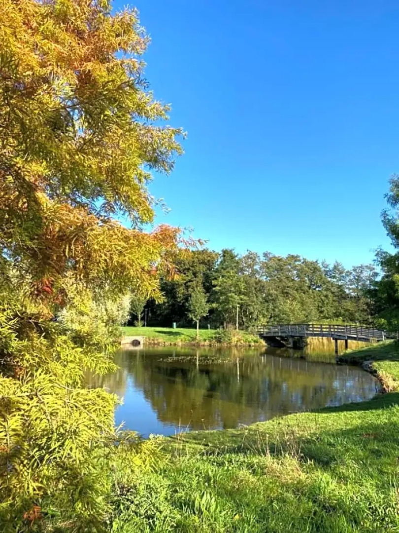 Schaap8 Bed en Breakfast