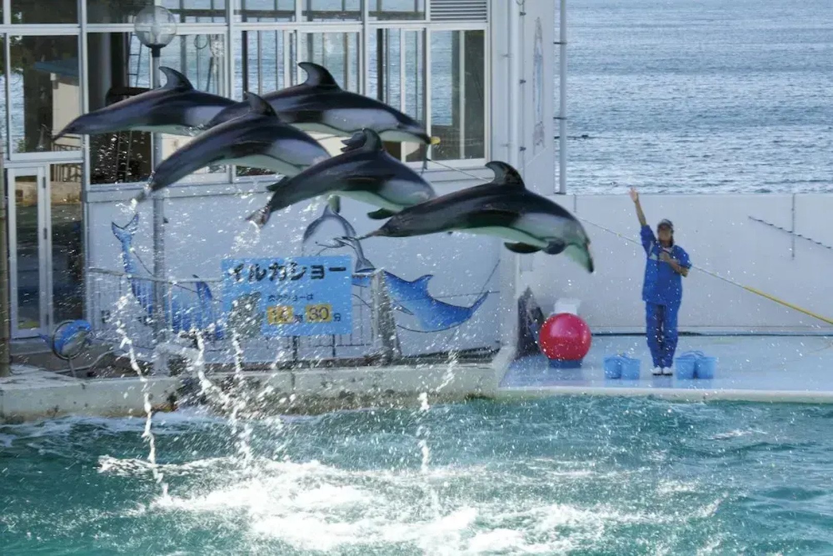 Shirasaginoyu notokaisyu