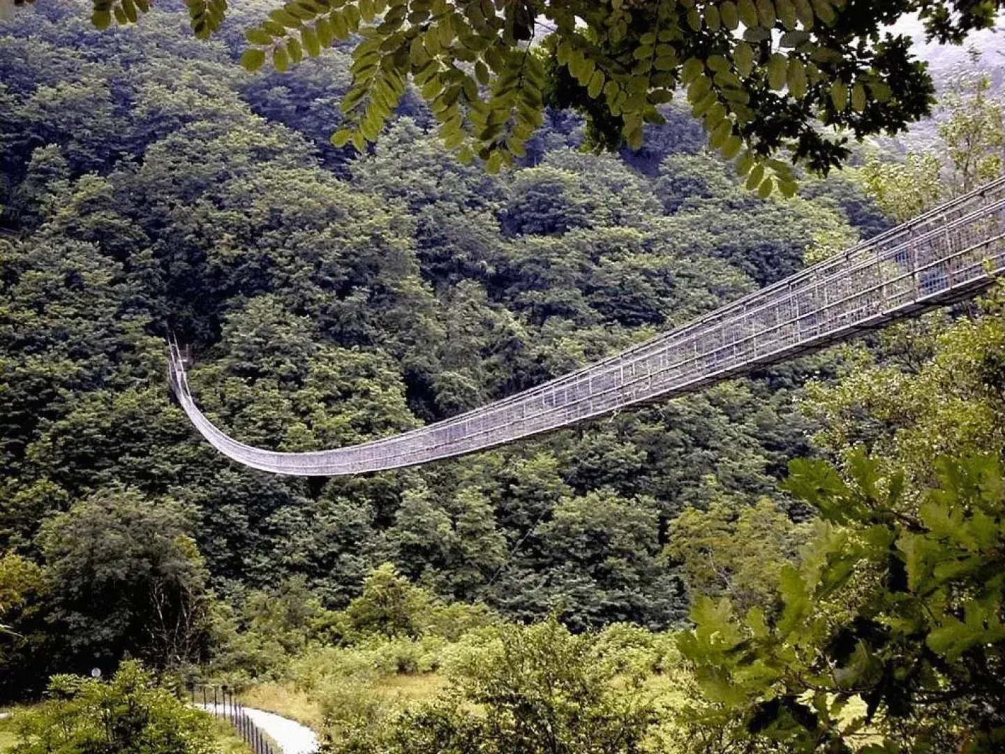 Albergo Ristorante Giardini