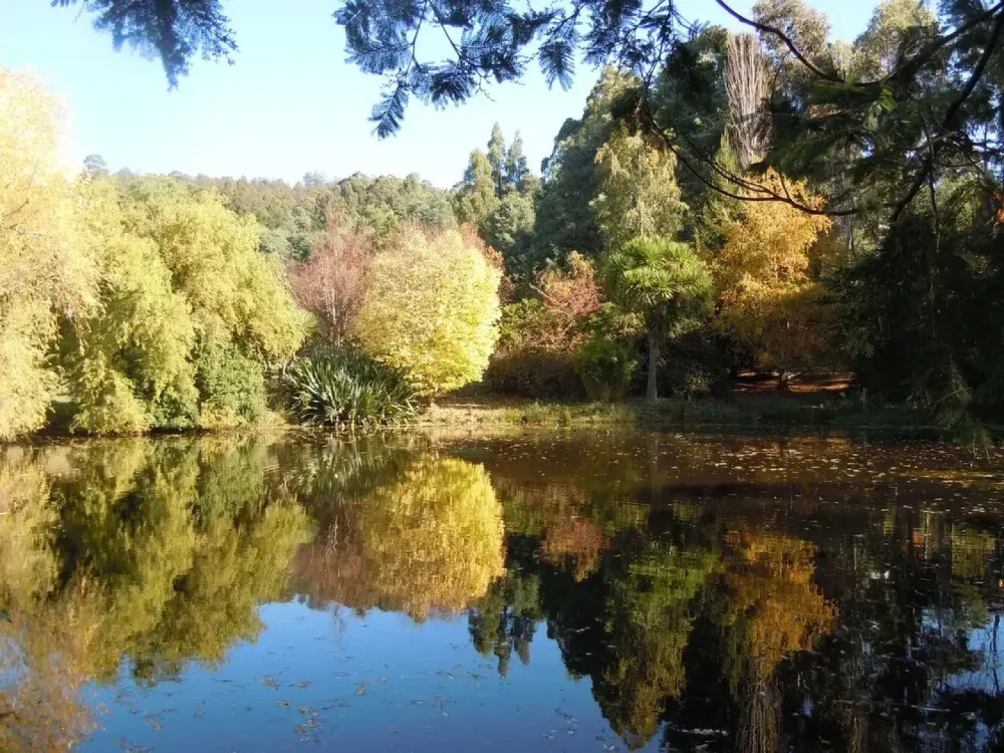 Whispering Spirit Holiday Cottages