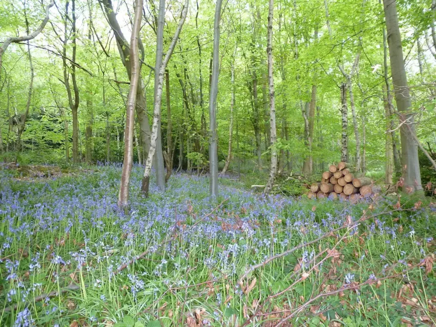 Salomons Estate