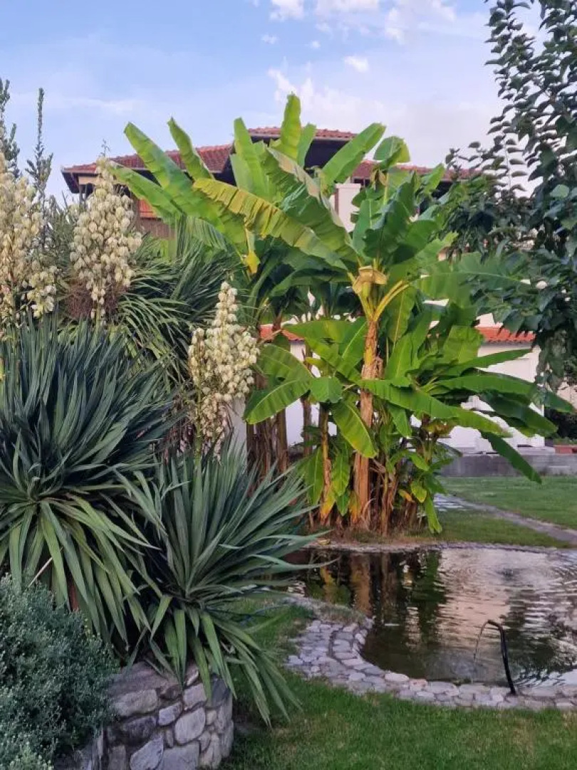 Villa Dimitris-Family Pansion