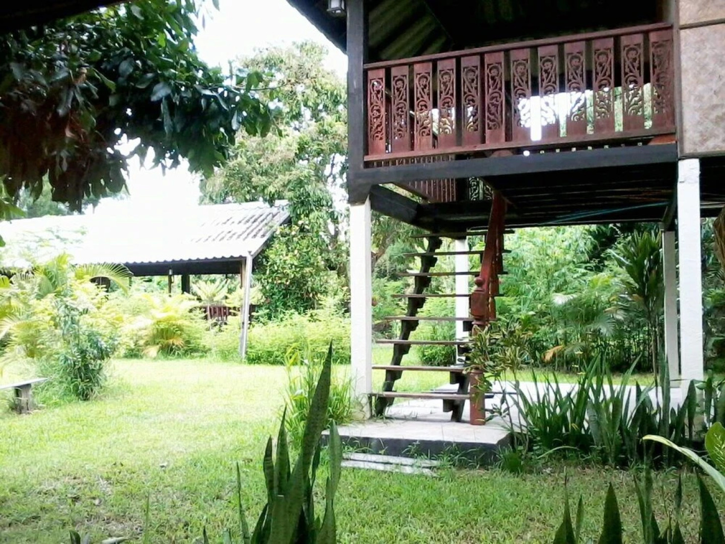 Dorado Boutique Resort