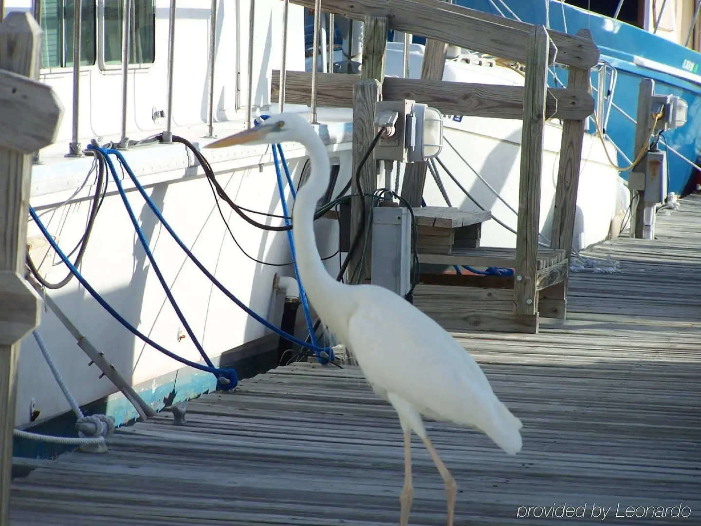Floating Sea Cove Resort & Marina
