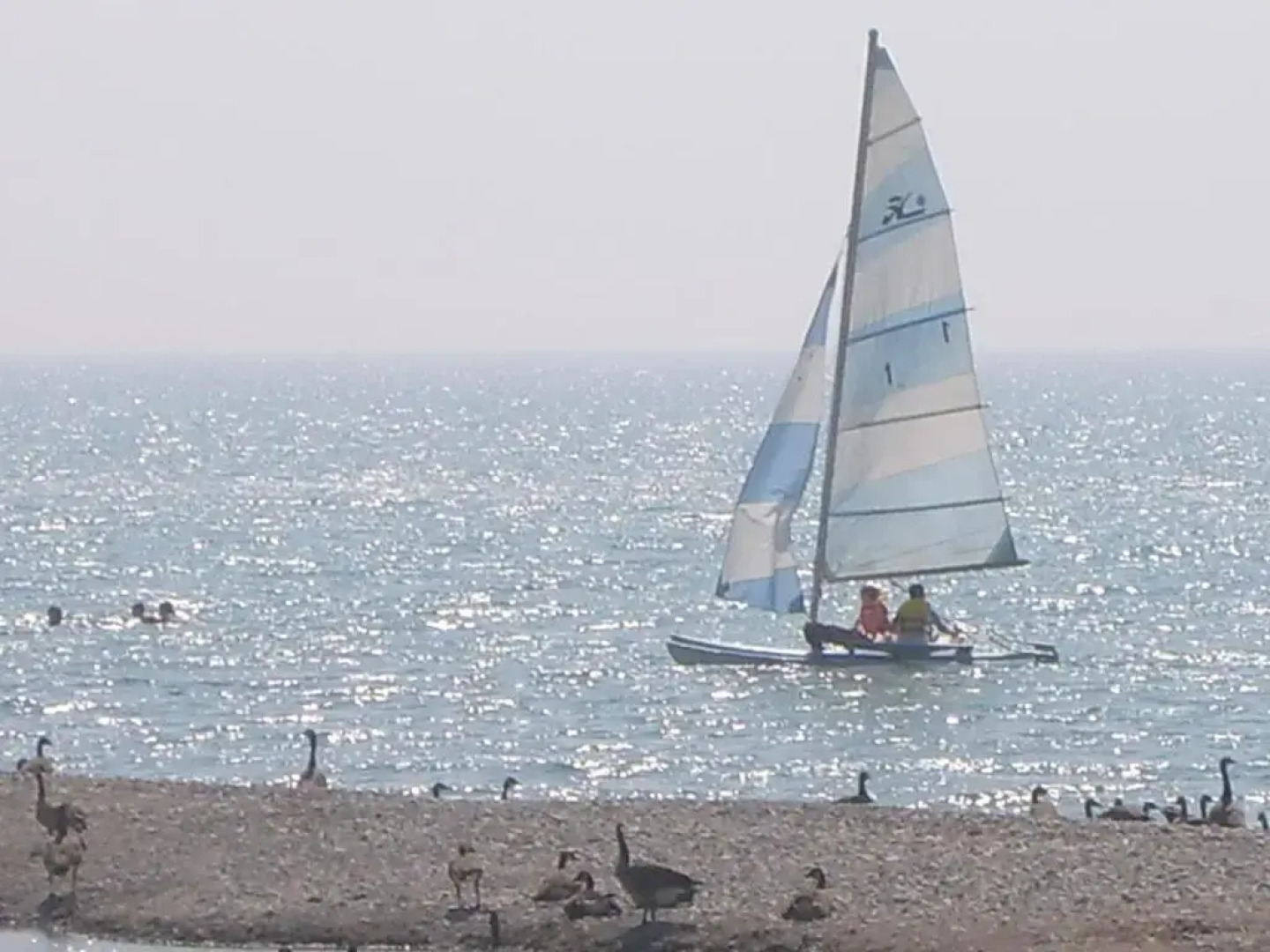 Port Albert Inn and Cottages