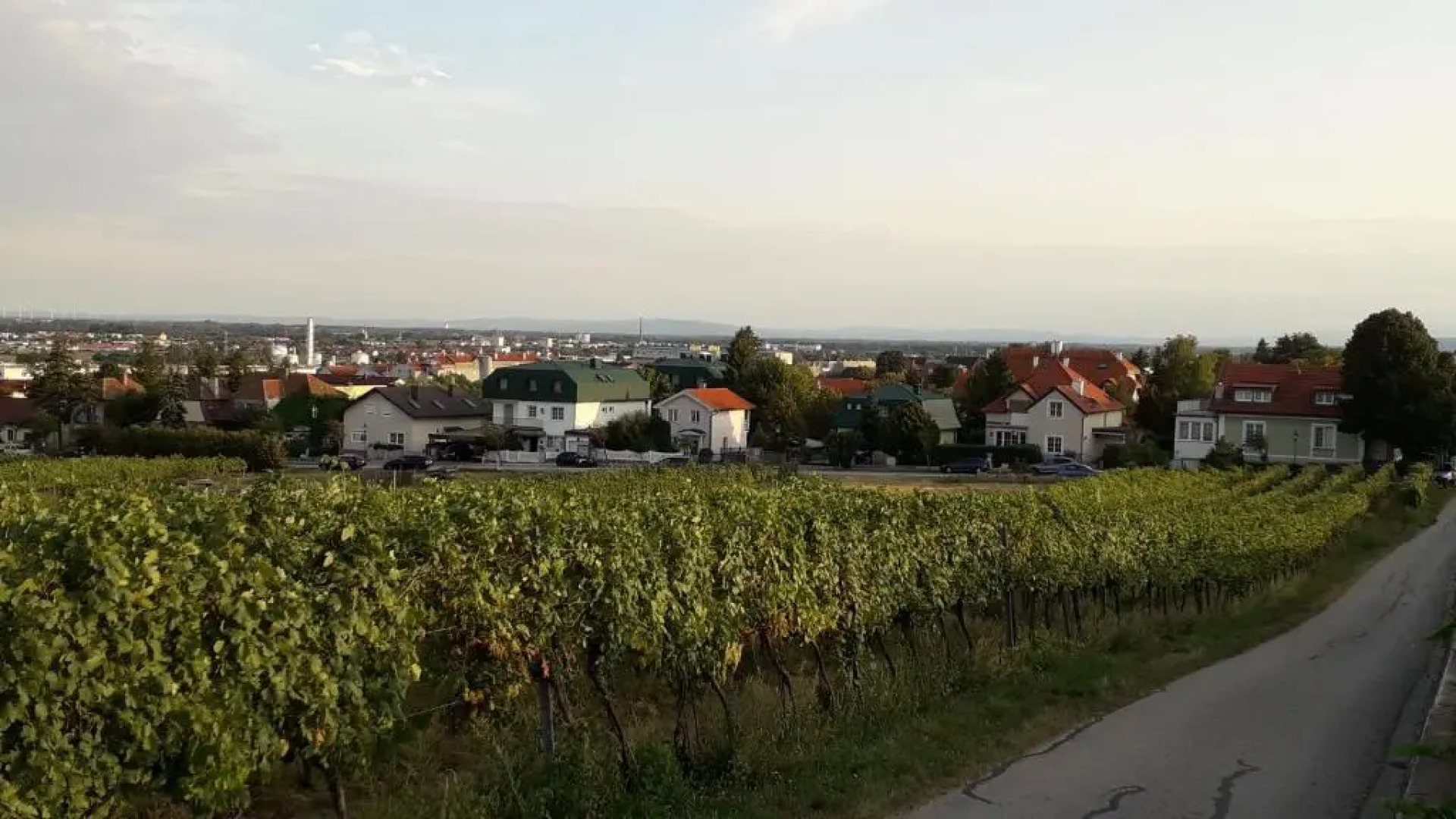 Charmantes Apartment mit Balkon zum Garten nahe Wien