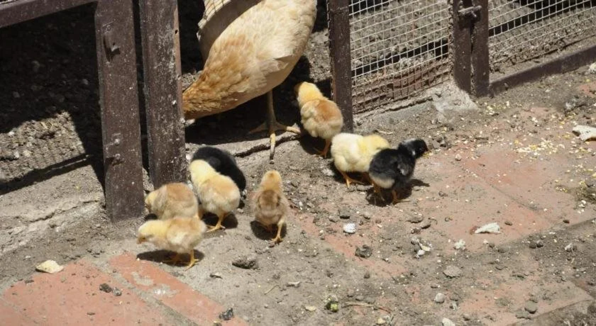 Casa Rural Can Cabano