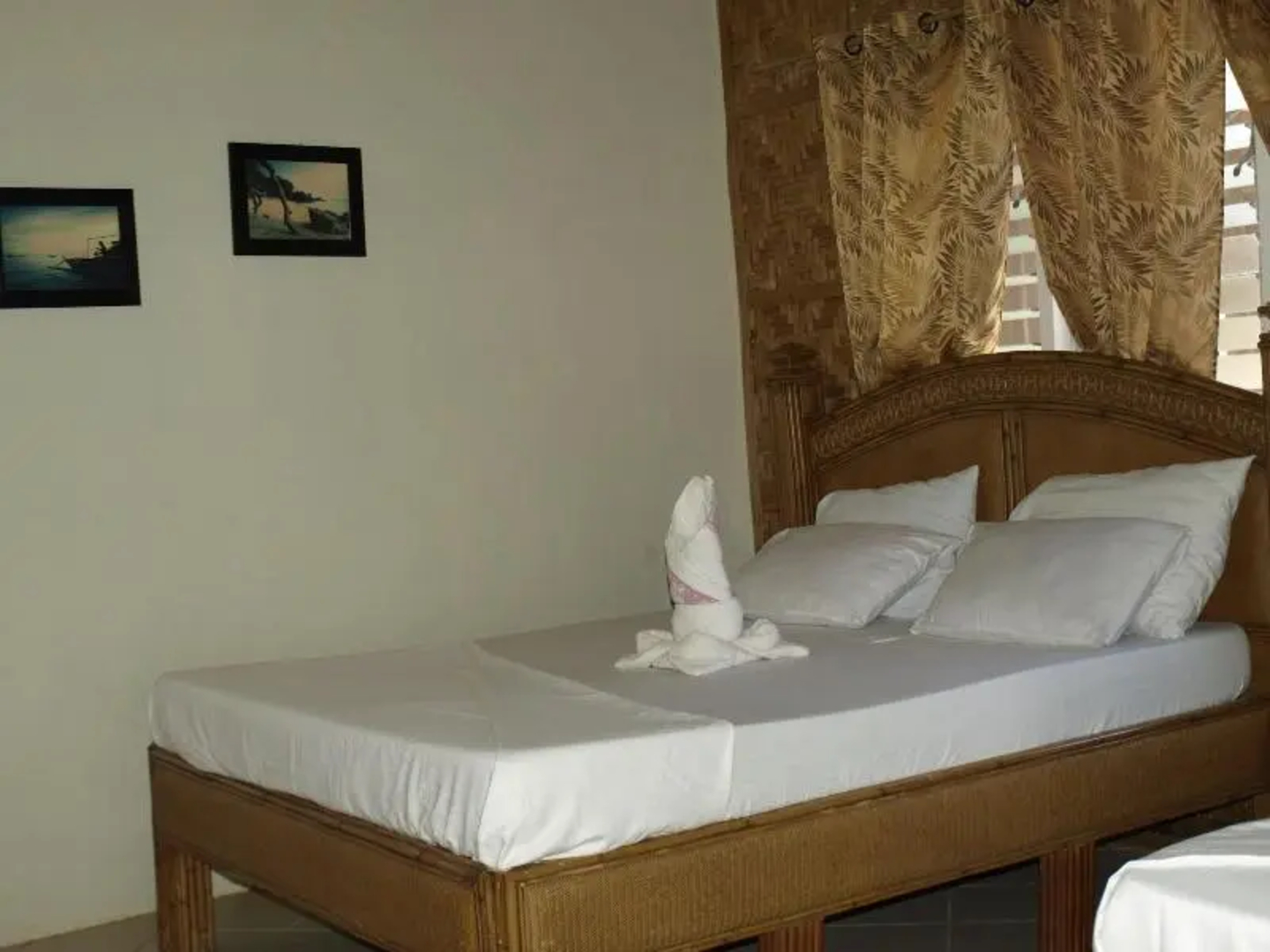 The Sharks Tail Dive Center