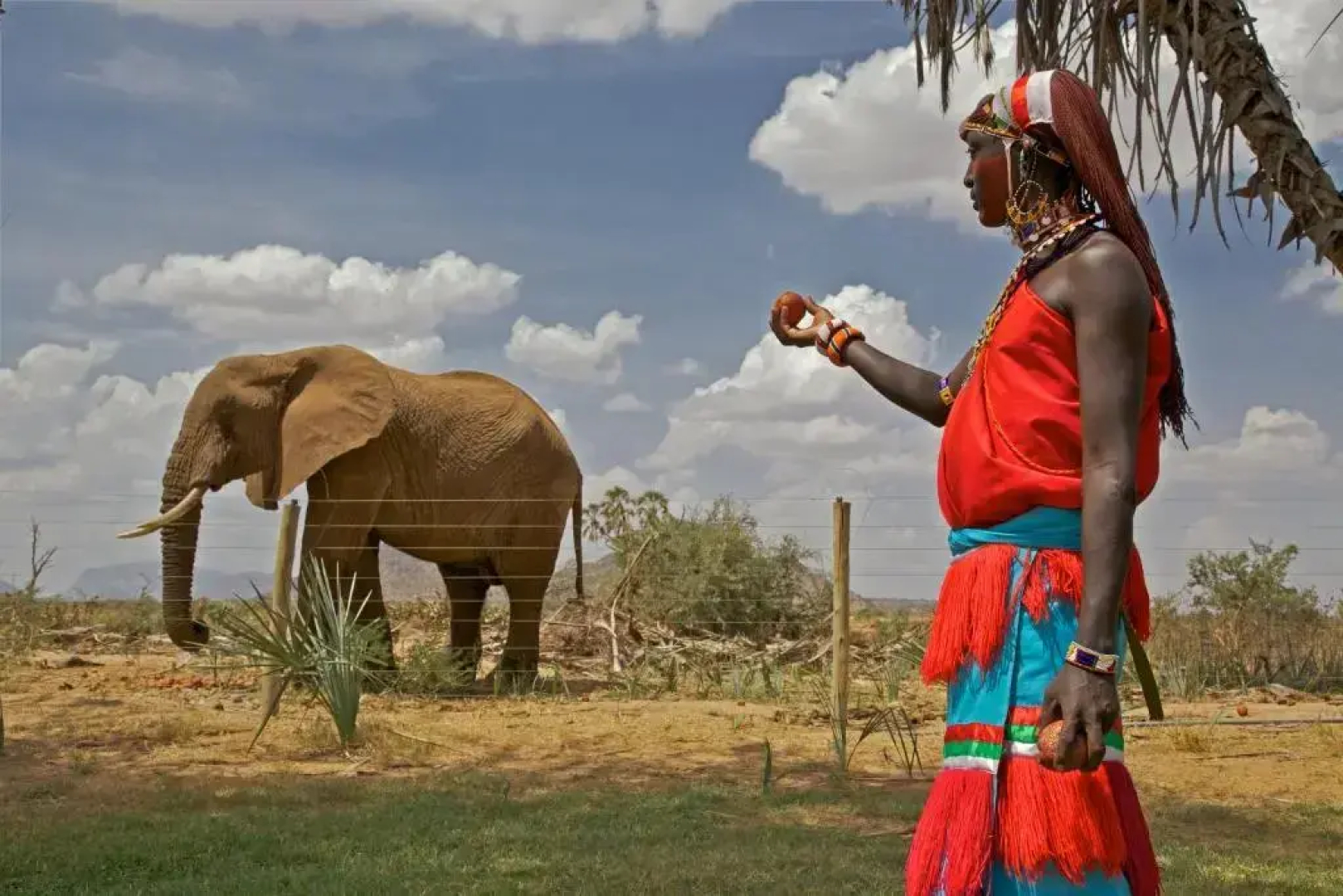 Samburu Lodge