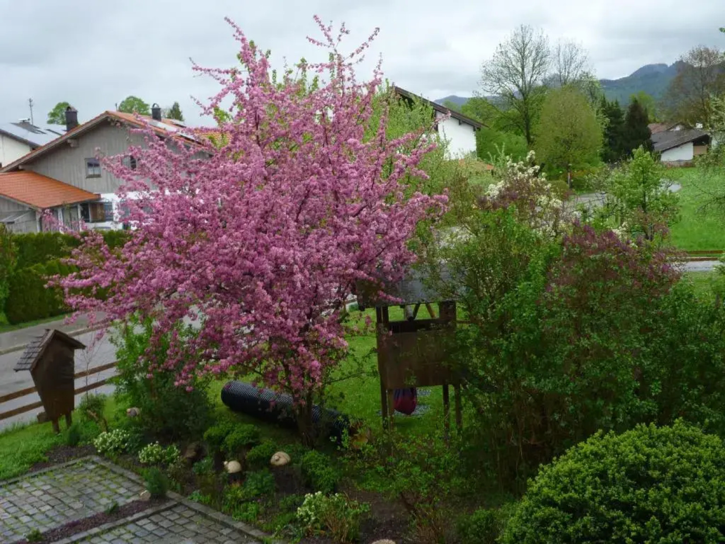 Apartments Donebauer