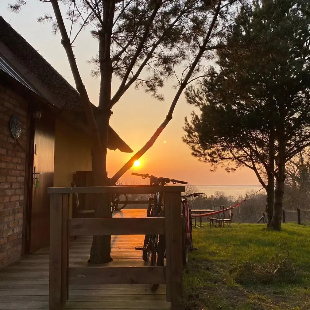 Ptasia Osada Domek Puszczyk