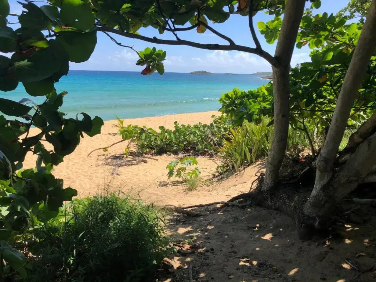 Las Olas Beach apartments