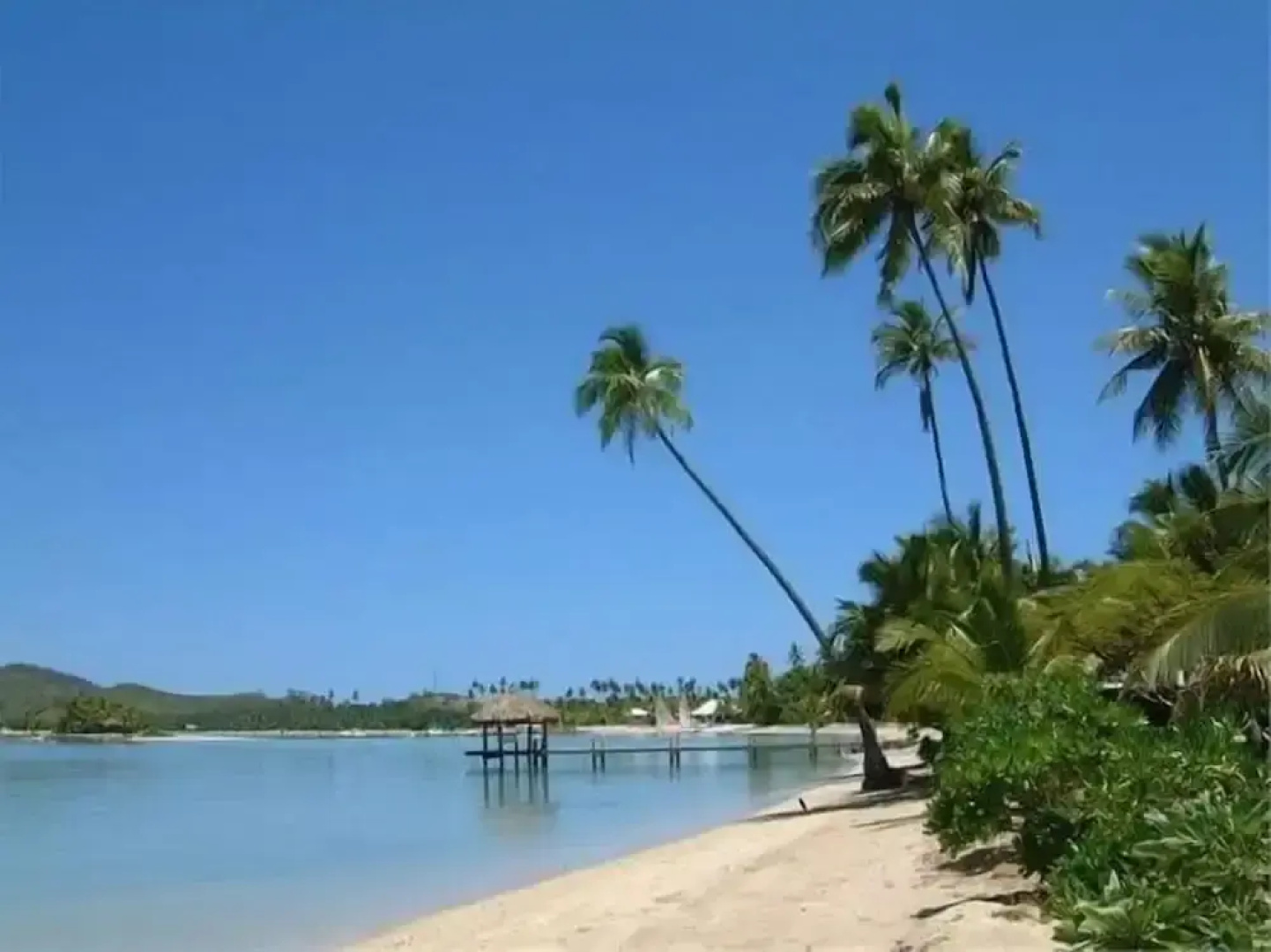 Vale Oasis