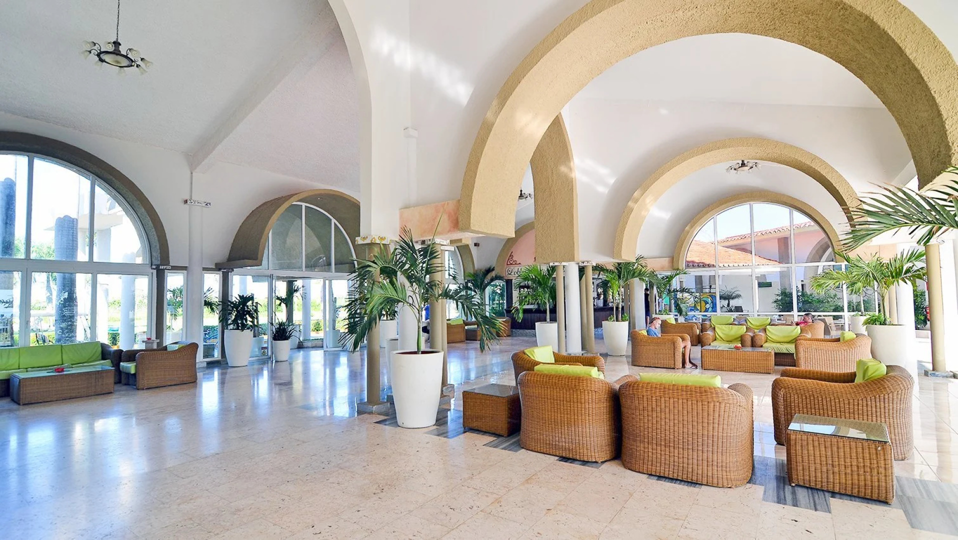 Starfish Cayo Guillermo