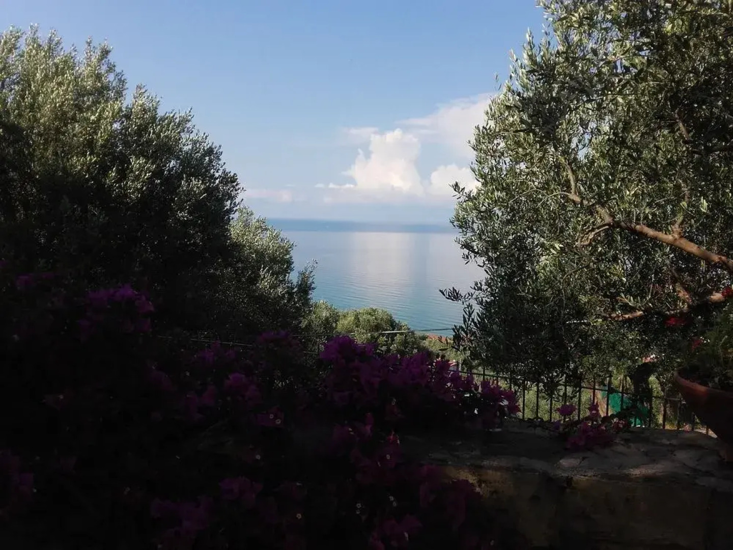 Residenza Golfo Degli Ulivi