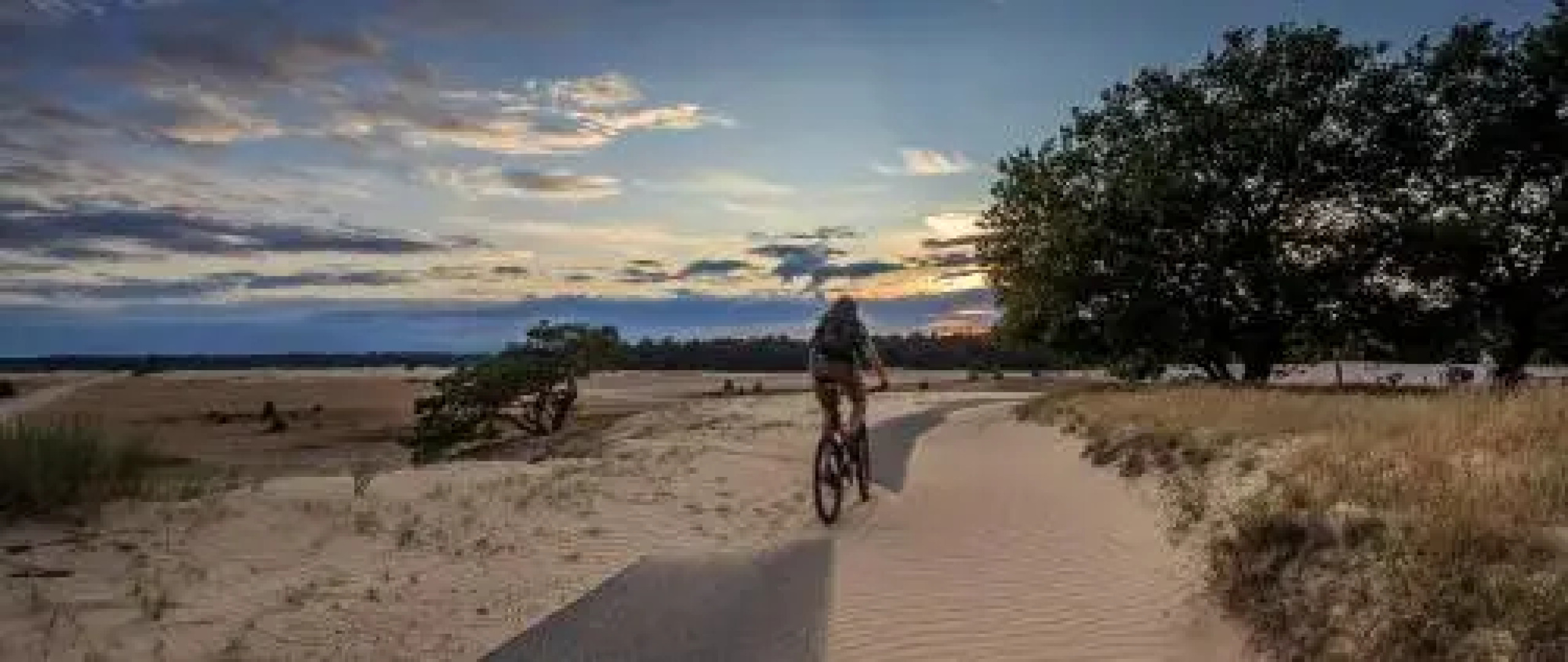 Bungalowpark Het Verscholen Dorp