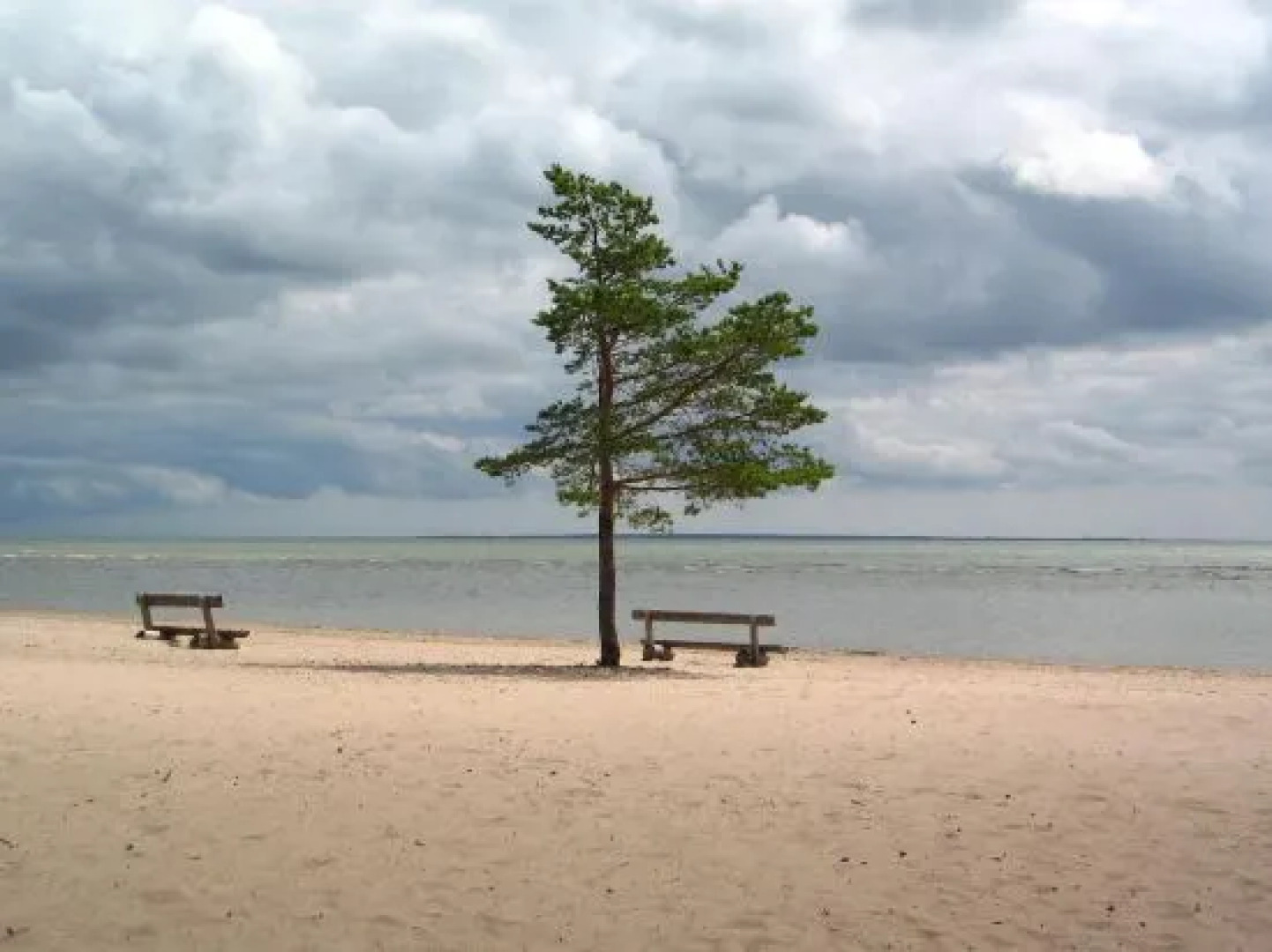 Kuunari Holiday Home