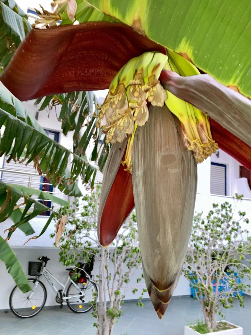 Sea Breeze 2 Apartments