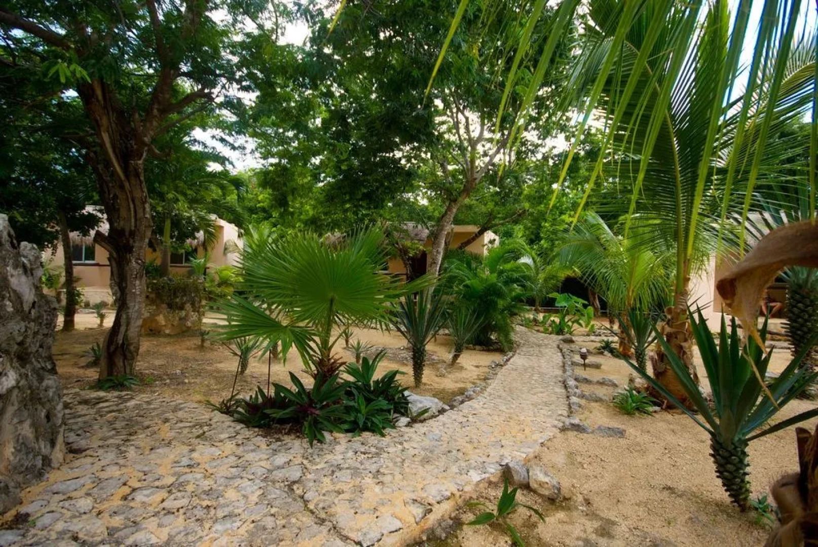 Villa Tortugas Residence