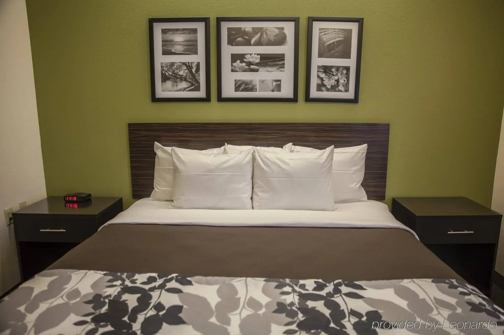 Sleep Inn & Suites