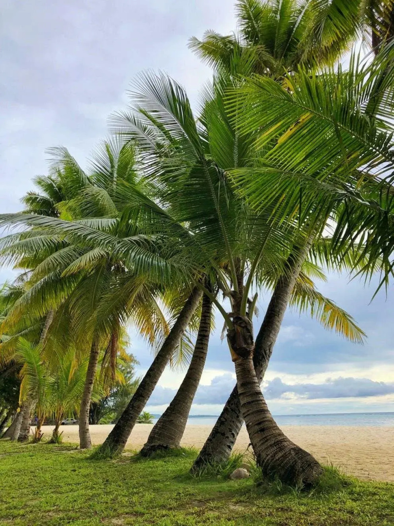 Surfrider Resort Hotel