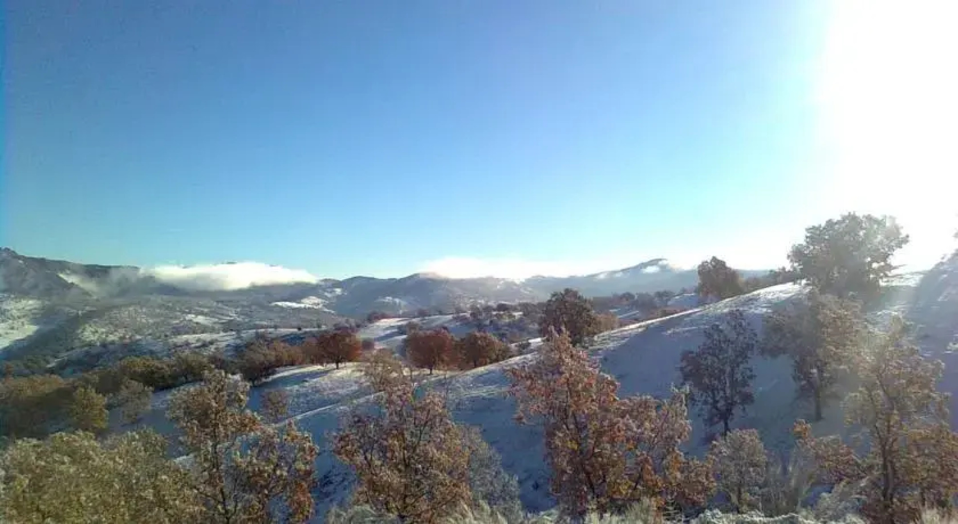 El Rincón De Los Cerezos